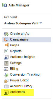 audiences in ads manager