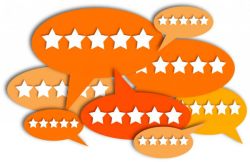 Keep tabs on your ratings and reviews